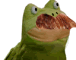 :usifrog: